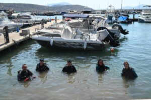 Εθελοντές και δύτες της Why Not απομακρύνουν απορρίμματα από τον βυθό της Μαρίνας Βάρκιζας στο πλαίσιο της δράσης του Επαγγελματικού Επιμελητηρίου Αθηνών.