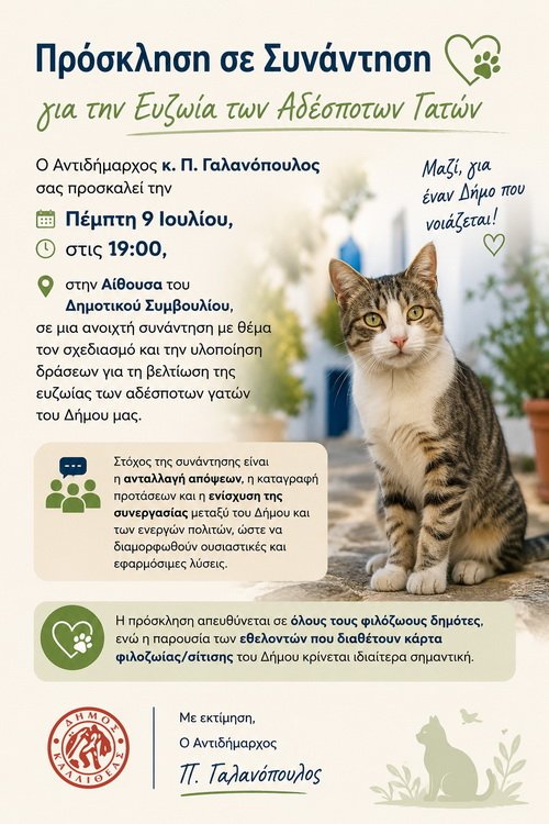 Ανοιχτή συνάντηση του Δήμου Καλλιθέας για την ευζωία των αδέσποτων γατών