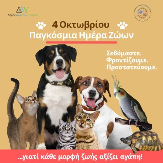 Δήμος Δάφνης-Υμηττού: Φροντίδα και προστασία για τα αδέσποτα ζώα