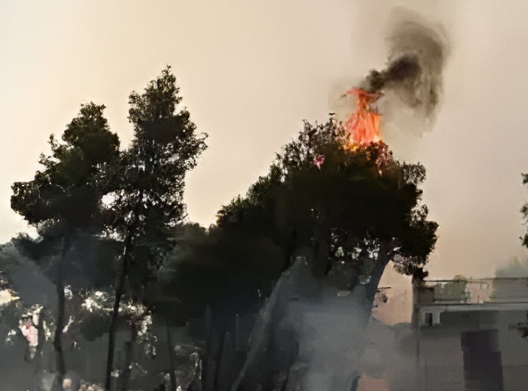 εικόνα καμένης δασικής περιοχής μετά το πέρασμα μεγάλης πυρκαγιάς, που αποτυπώνει το μέγεθος της καταστροφής