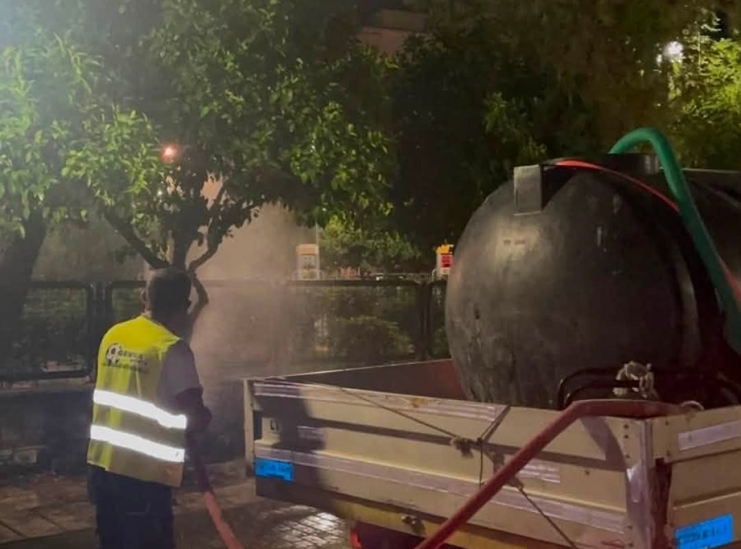 Πλύσεις σε νεραντζιές για την αντιμετώπιση του ακανθώδους αλευρώδη