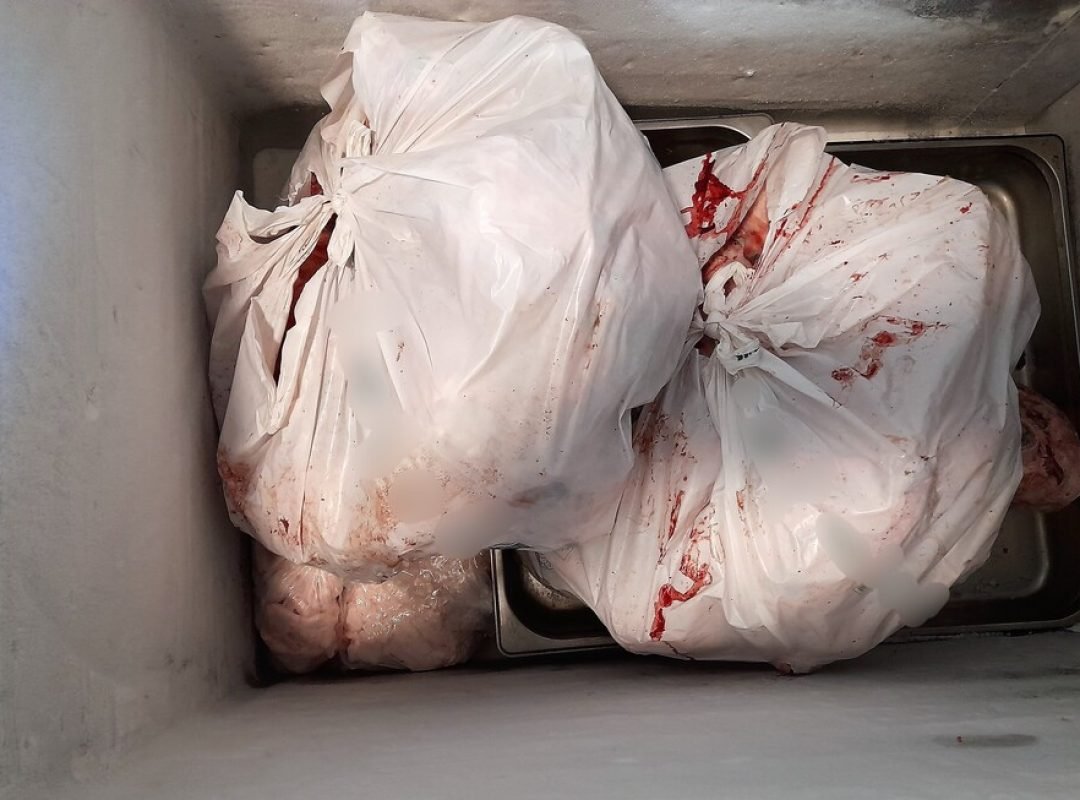 κατάσχεση ακατάλληλων τροφίμων.