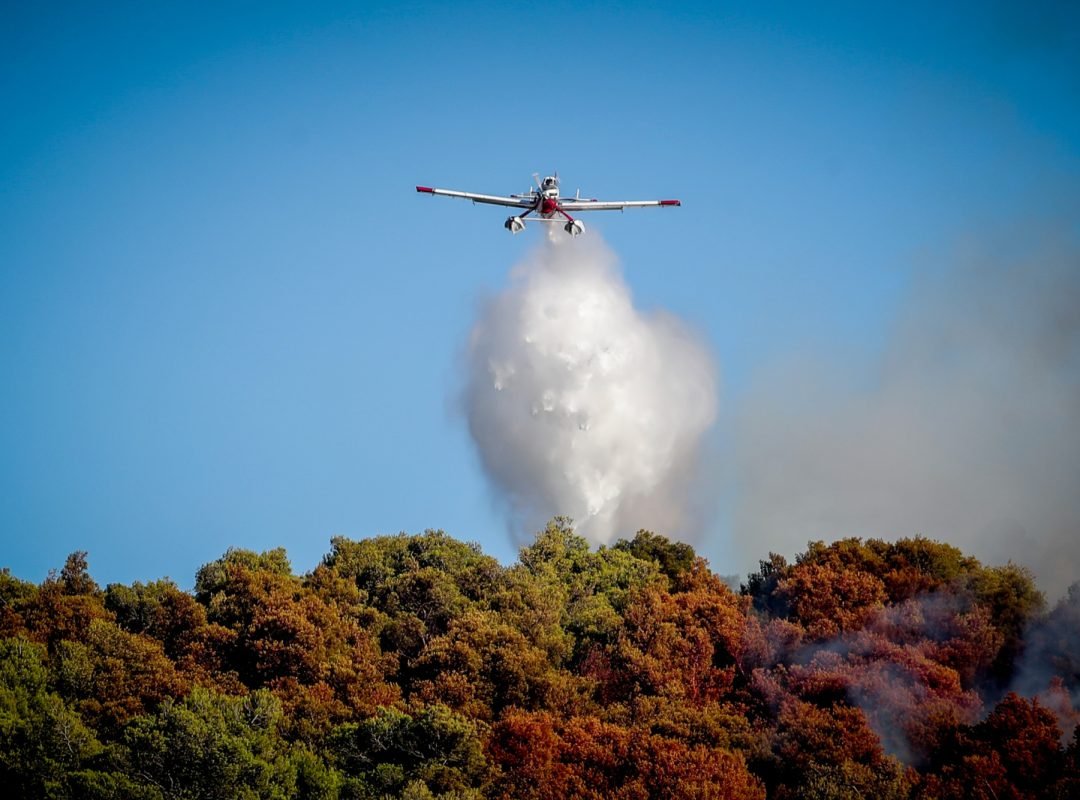 Εναέρια μέσα πραγματοποιούν ρίψεις νερού στη δασική πυρκαγιά στην Οινόη.
