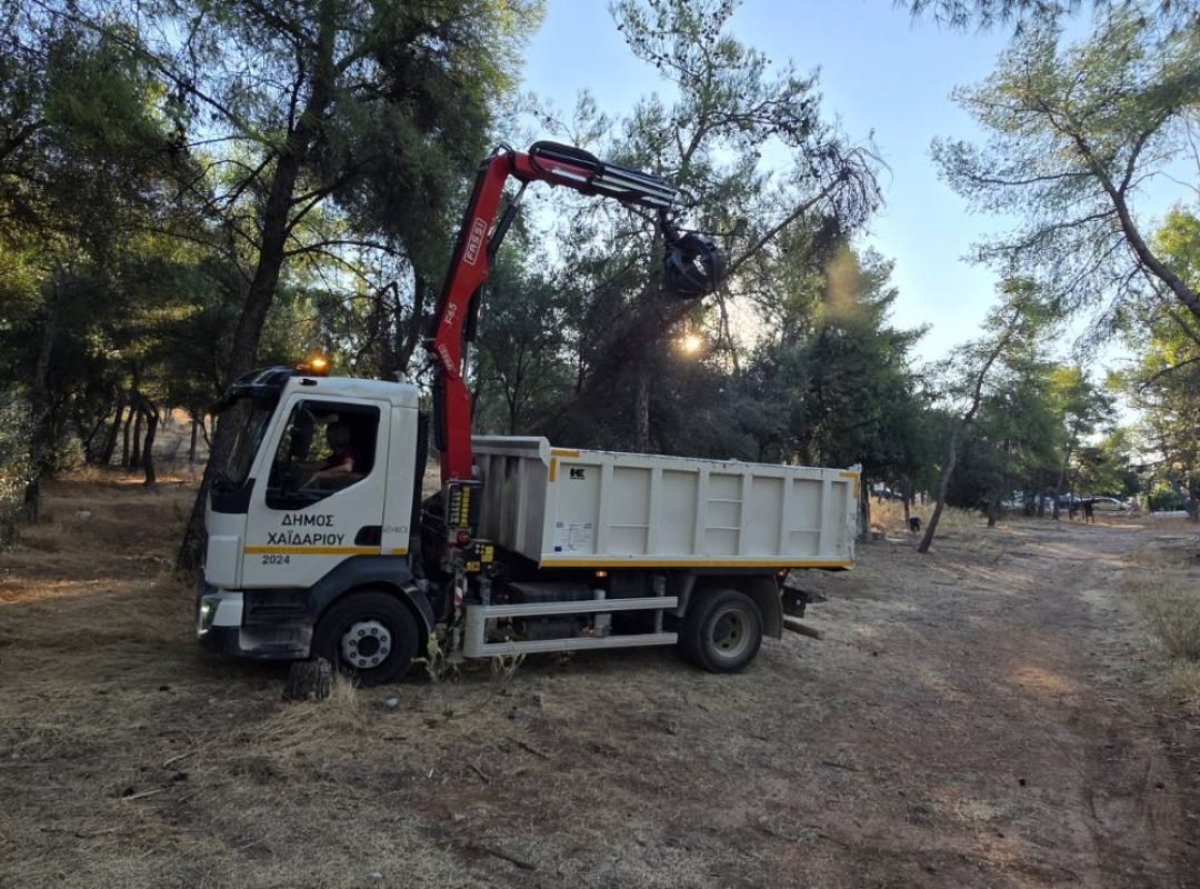 Καθαρισμός ξερών δέντρων και υπολειμμάτων στο Άλσος Δαφνίου.