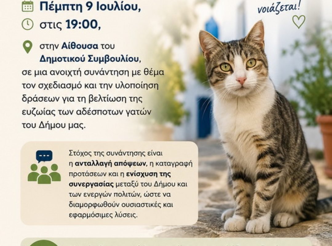 Ανοιχτή συνάντηση του Δήμου Καλλιθέας για την ευζωία των αδέσποτων γατών