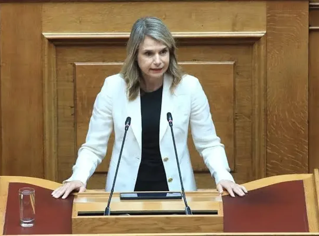 Μιλένα Αποστολάκη για την επαγγελματική ασφάλιση