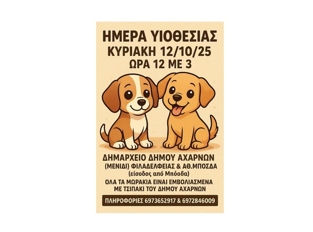 iothesia_koutavion_acharnes-2