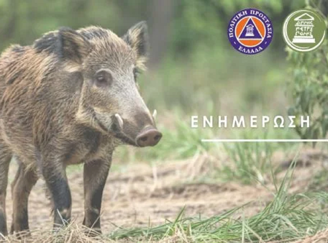 petroupoli-agriogourouna